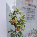제제북스