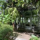 데이드림빌리버 이미지