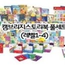 세티 이미지