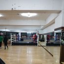 산본미래권투 이미지