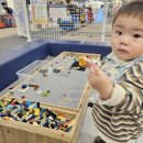 퐁퐁실내낚시터 | 포항 키카 엘리스파파14개월아기 주말 후기 돌아기는 공짜!