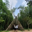 드라이브인무인텔소풍 | 전라도 2박3일 여행코스 및 경비 ( 광주-담양-함평) 모든것 공개