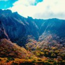 낭만여행 이미지