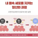 비타민메디케어 네이버블로그