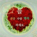 고운정 이미지