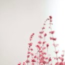 사진촬영강좌 티스토리
