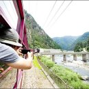 석정목장 이미지