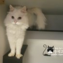 호텔구구 이미지