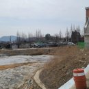 궁산농장 이미지