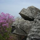 자굴산순환도로 이미지