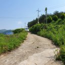 미현리농장 이미지