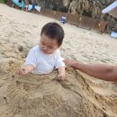 덕산상회 이미지