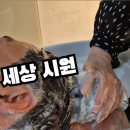 이미경헤어샵 - 남구 | 이미경헤어샵