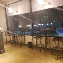 바닐라 애견샵 이미지