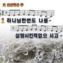 김*오 티스토리