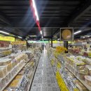 평화1(연못휴게소) | 하노이에서 닌빈 짱안 가는 방법 버스 기차 외 단독 투어 아자스