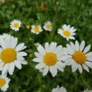 상봉1동주민센터 이미지