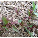 구례농장 이미지