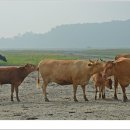 소사랑농장 이미지