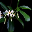 하영올레 2코스 이미지