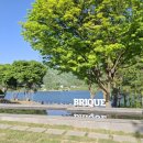 더드림마켓 이미지