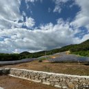 에스제이태양광발전소 이미지