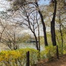꿈드림스터디카페 - 서천군 서천로 82-1 | 간호학과 취준 | 대외활동, 인턴십, 컨설팅? 등등