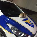 덕천지구대 이미지