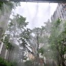 아이파크 103동 앞 이미지