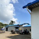 구좌친환경당근영농조합법인 | 제주 소낭 친환경 영농조합을 알고 계신가요?