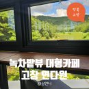연다원 | 고창 녹차밭 뷰 카페 연다원 솔직후기