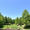 짜루면옥 | 포항여행. 도음산 산책, 냉수면옥 한우, 세븐데이즈어위크카페, 핑키핑키 소품샵, 영일대차박