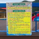 밀양반딧불이 | [밀양 수영장펜션] 대구 근교 펜션 '반딧불이펜션' 후기
