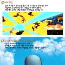 가족뮤지컬 피노키오 이미지