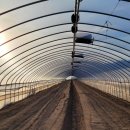 농업회사법인(주)성주 이미지