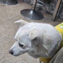 성호카센타 네이버블로그