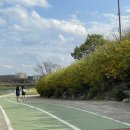 강변길 서천 이미지