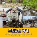 포천 애견동반 가능한 토일농원 카페