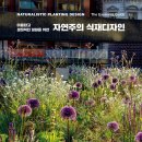자연주의 식재디자인 (아름답고 생태적인 정원을 위한) 나이절 더닛 저/박소현, 박효근, 주이슬, 진민령 역 | 목수책방 | 2024 이미지