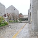 승봉목장 | 시몬스 테라스 파머스마켓 WITH 이천쌀문화축제 주말나들이 추천