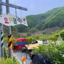 요새불멍 이미지