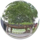 열녀 부안임씨 정려 이미지