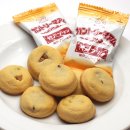 마암 | 🍮 간사이 한정! 고베푸딩 맛 컨트리마암 후기 ✨ 일본 고베 기념품 추천