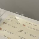 케이킁 | [인천 송도] “케이킁” 강아지 케이크 수제간식 내돈내산 후기 (한입케이크)