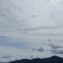 자전거 여행 부스 | 강원도 춘천 가볼만한 곳 여행코스 자전거타며 돌아본 남이섬 후기