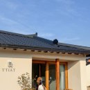 스테이 띠앗 이미지