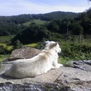 풍산목장 이미지