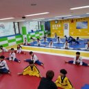 위풍당당 태권도장 이미지