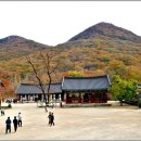 선운사