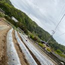 약초골한옥마을 이미지